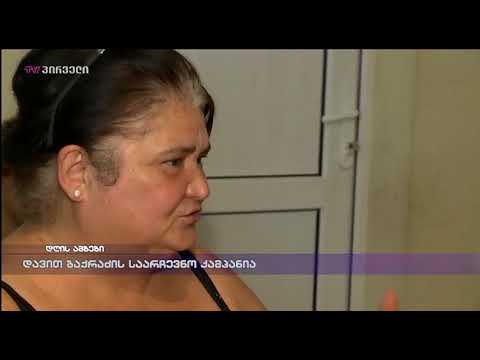 დავით ბაქრაძის საარჩევნო კამპანია