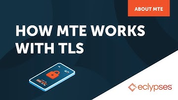 How MTE Works With TLS | Addressing Security Vulnerabilities