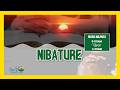 NIBATURE KUCYUMWERU // EV. BERNARD MUHIRE #gusenga guhindura#