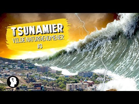 Video: Den største tsunami i verden. Hvad er højden af den største tsunami i verden?