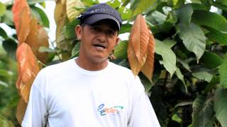 República del Cacao - The Cacao Farm in Ecuador