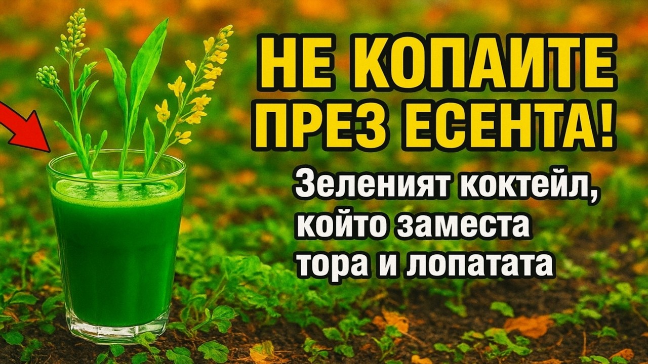 Не копайте градината през есента! Този „коктейл“ от сидерати е тайната на мързеливия градинар, койт