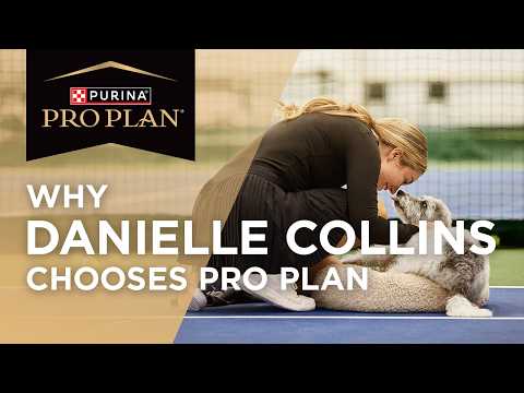 Danielle Collins & Her Dog Fuel Their Bond with Pro Plan