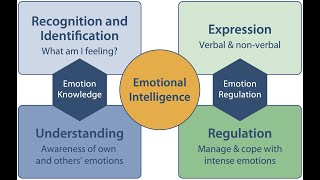 Emotional Intelligence | Spirit Controls Mind Controls Ego Controls Emotion Controls Body