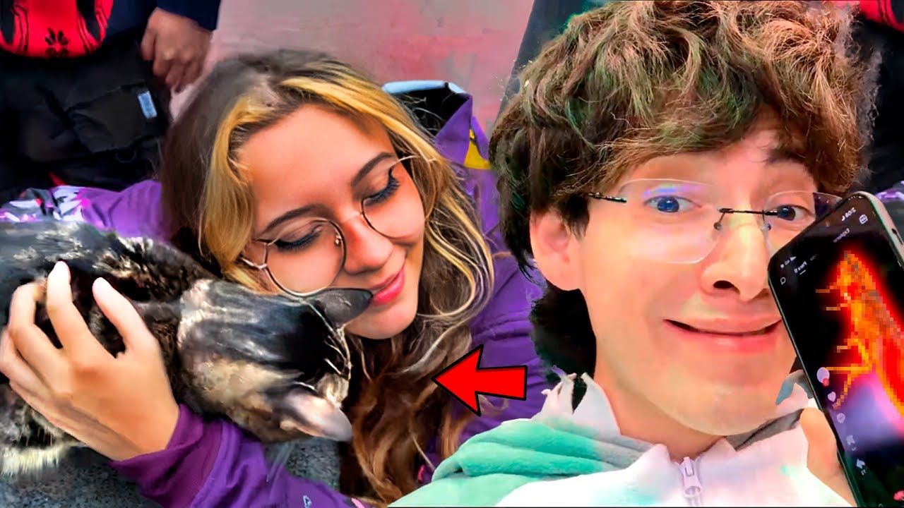 Visitamos El PARQUE De los GATOS 🐱 | Termina MAL 💀