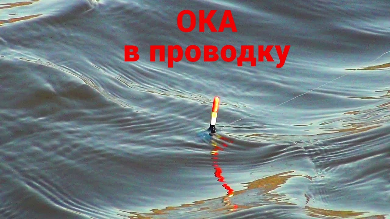 Кто производил оку