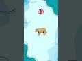 What is it in English?