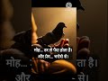 मोह और प्रेम का अंतर @Earnest15 #truelove #lifeclarity #emotionalwisdom #spritualgrowth #earnest15
