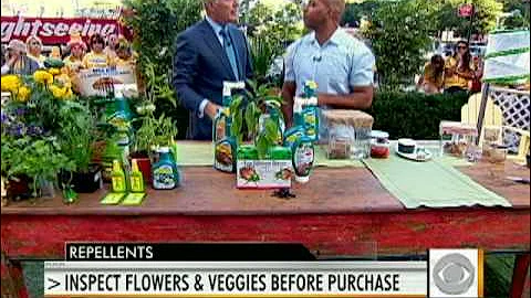 Garden Insects: The Good and Bad