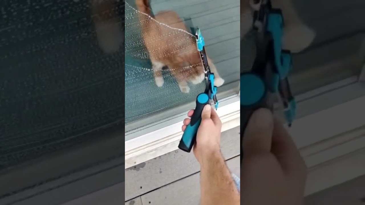 Happy National Window Cleaning Day! 