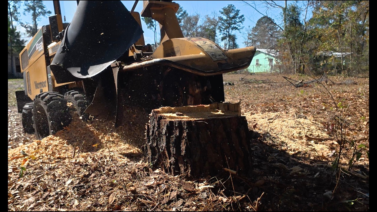 Stump Grinding Matters In Home Flipping - Remodel EP: 15