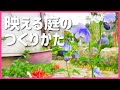 【春先必見】立体感のある植栽の方法。小さなお庭でも迫力を出すためには。