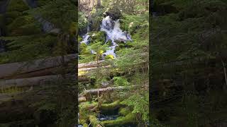 Clearwater Falls, Oregon