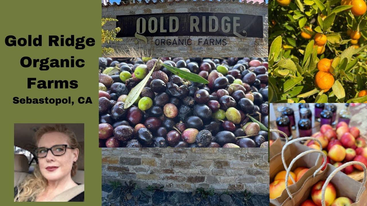Gold Ridge Organic Farms HD 1080p YouTube