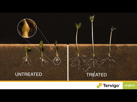 Control root knot nematodes with TERVIGO®