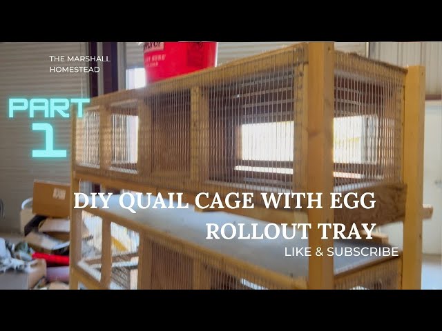 DIY Quail Cage with egg rollout tray using scrap wood! Part 1. class=