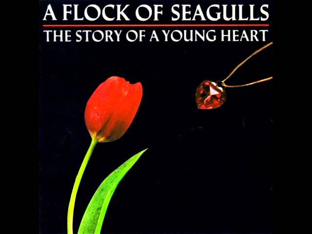 A Flock Of Seagulls - Committed