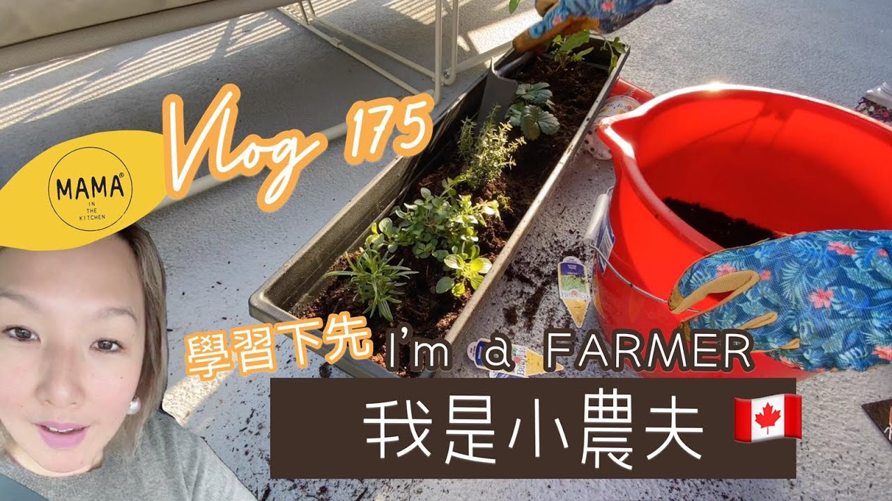 我是小農夫 I M A Farmer 學吓先 生活系列 Episode 175 Youtube