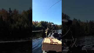 grand finale #kayakbassfishing #bonafidekayaks #pondfishing #rockbass #exploremore #fallfishing