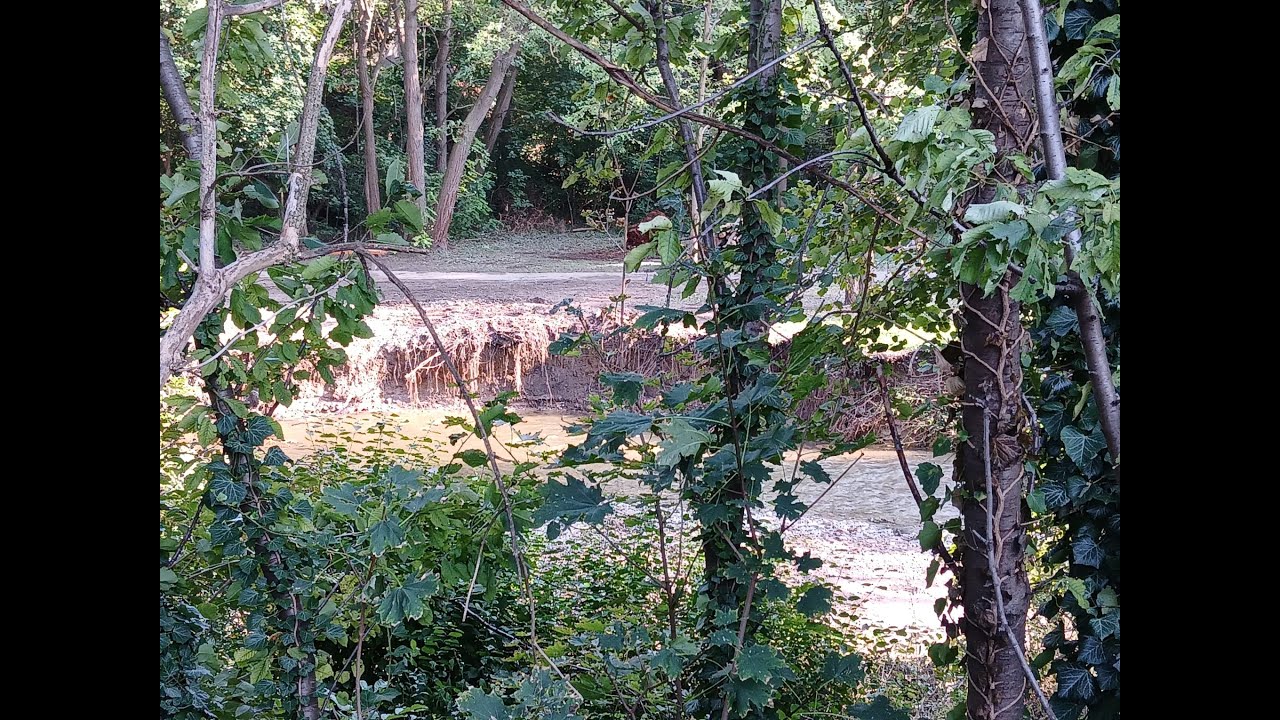 Vier Tage nach dem Sturm sind einige Waldgebiete noch gesperrt