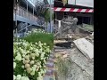 Реабілітаційні сади Охматдиту,від болю до надії.Ohmatdyt Rehabilitation Gardens—From Sorrow to Hope