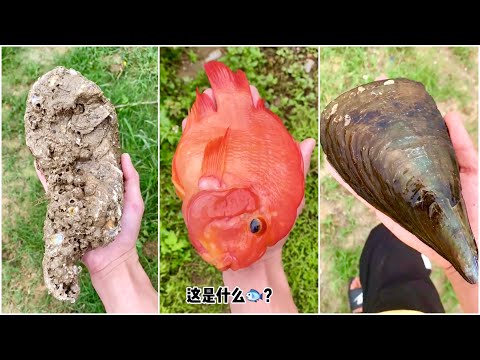 Video 1 đồng mua được gì ? #152 • Ẩm Thực Trung Quốc • Tik... - youtube