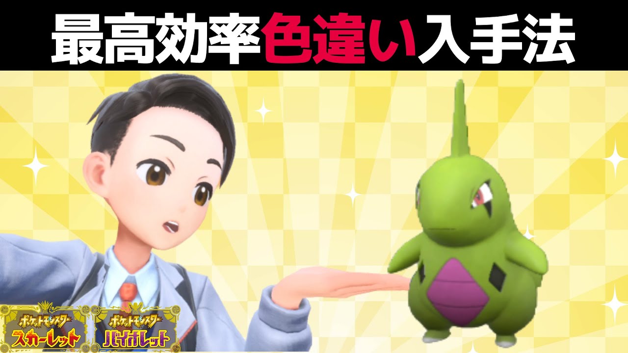 波空の激闘色違い4枚 タツベイ、ヨマワル、ギャラドス、チルット