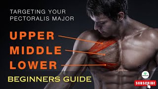 30 Days Chest Exercises for Beginners | Build a Stronger, Defined Chest