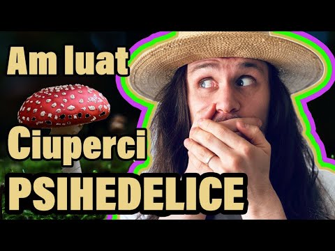 Am Luat CIUPERCI Psihedelice - Magic Mushrooms