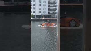 Florida Gonna Florida