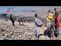 Nomadic Adventure Saving Bees From Hard Peaks Nomadic Adventure Saving Bees From Hard Peaks