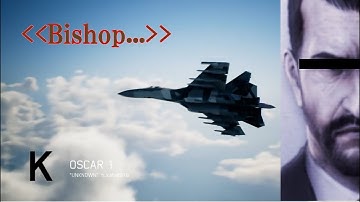 Ace Combat 7  Multiplayer25 with Su-35 + LAAM