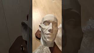 My very own planes of the head...