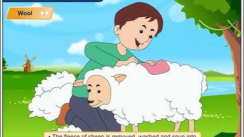 How are Clothes Made? | Environmental Studies Class 2