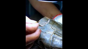 Infrared welding technology- Good tools and machinery make work easy