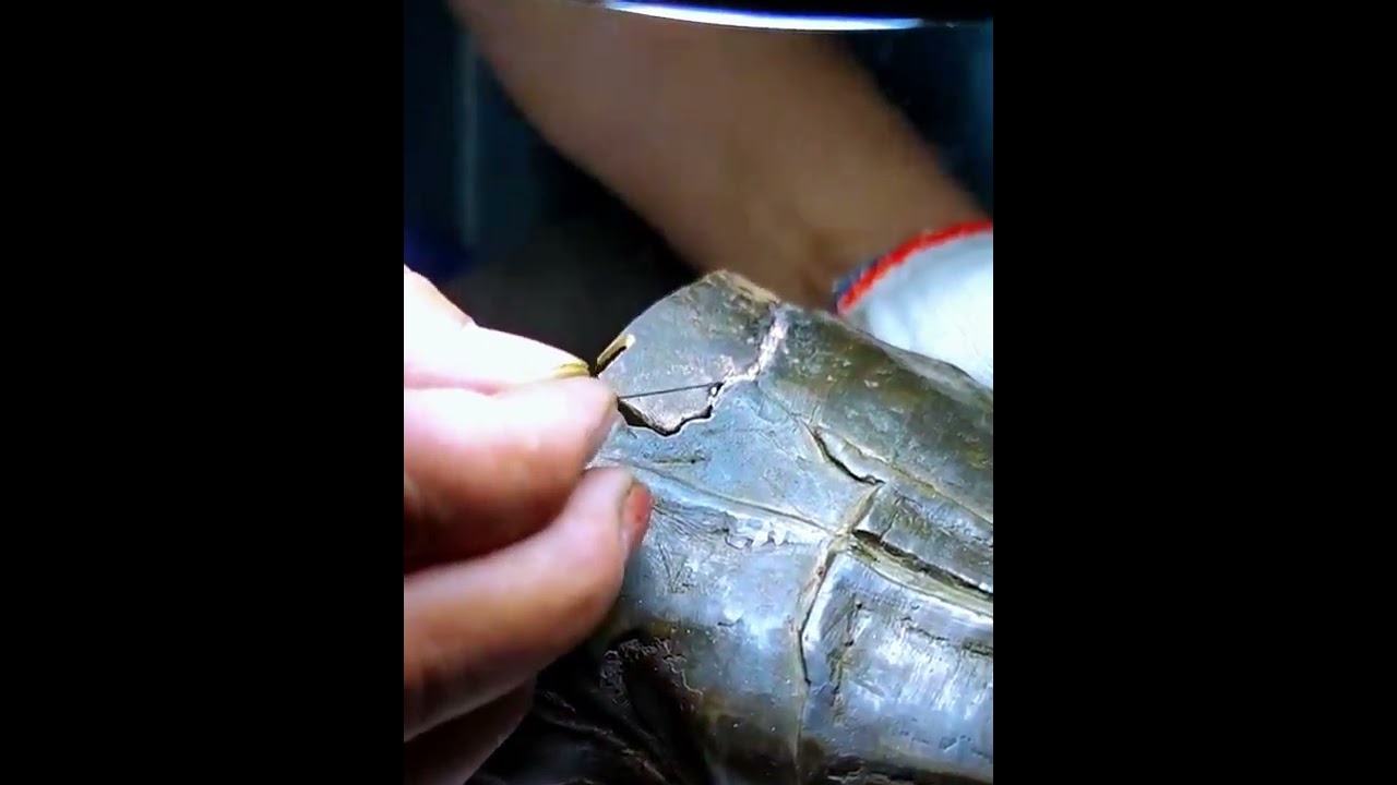 Infrared welding technology- Good tools and machinery make work easy