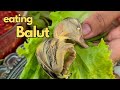 Eating balut  jin su mukbang food