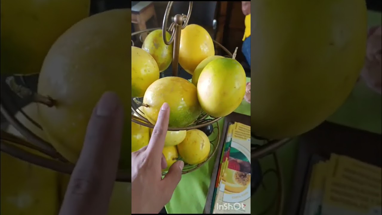 Cop19 video clips salomia