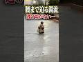 千葉豪雨の迫る濁流に逃げ場がない…