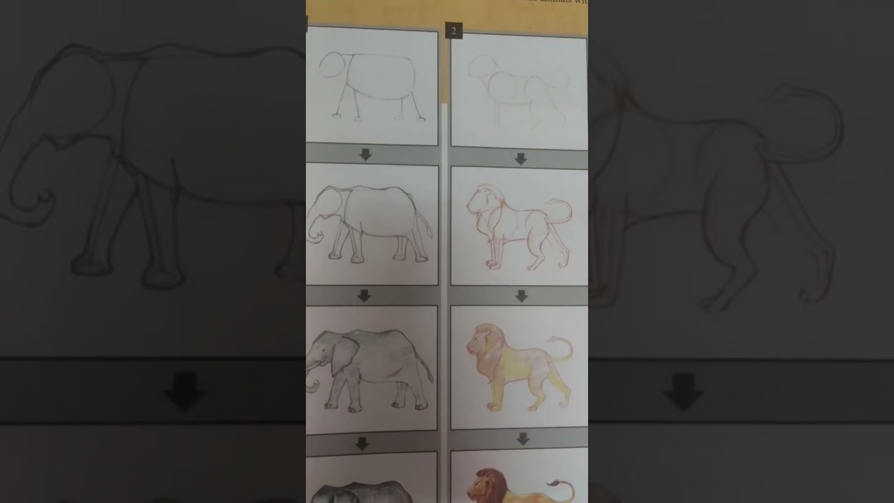 Tutorial Drawing of Lion and elephant 