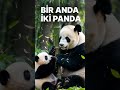11 Aralık 2025