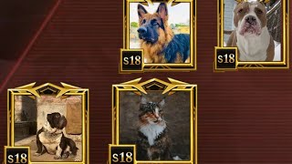 Jalebi Baby Ft: 💦😨THIS TYPES OF DOGS ARE VERY DANGEROUS⚠️ IN PUBG MOBILE screenshot 3