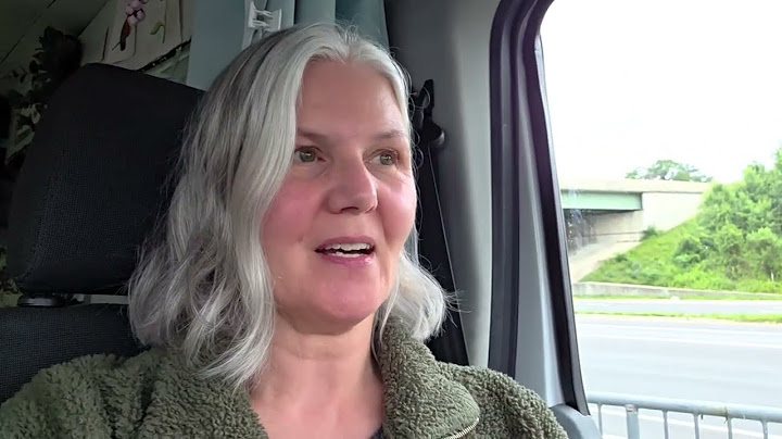 Summer Solo Van Life road trip North in search of cooler weather