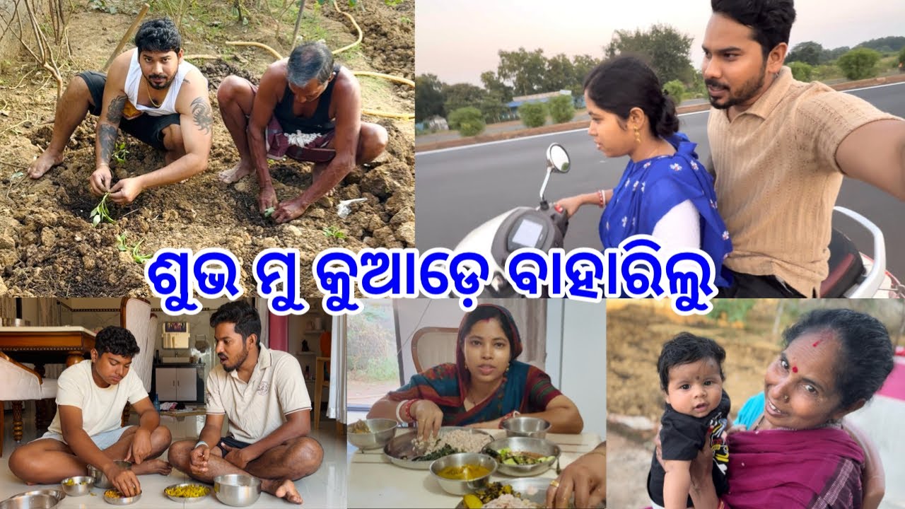 ବାପା ପୁଅ ମିସିକି ଆରମ୍ଭ କଲୁ ଚାଷ କାମ  ସକାଳୁ ସକାଳୁ ପଖାଳ ମାଡ @DpEatingShow 