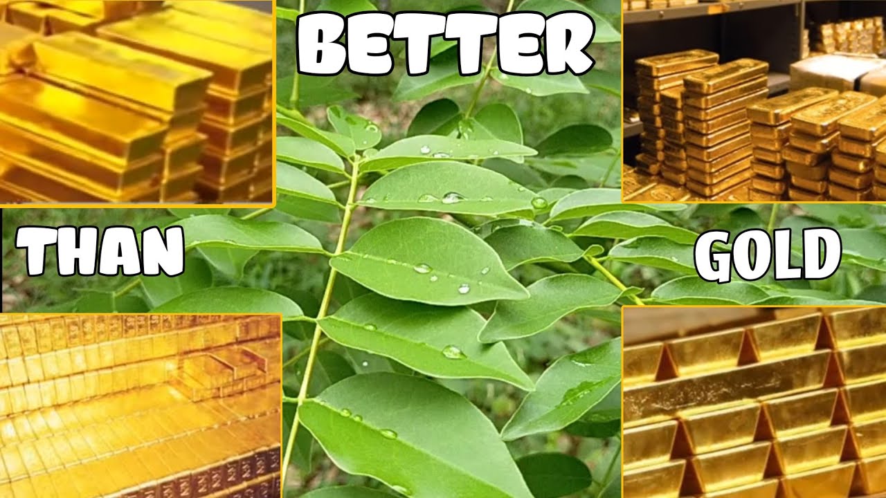 KAKAWATE HIGIT SA GINTO PALA!!! BAKIT KAYA?