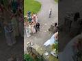 Crazy Bouquet Catch Moments At Weddings#WeddingFun #BouquetToss #FunnyWedding #ViralMoments