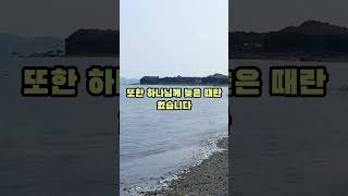 [당신의 인생은 아직 끝나지 않았습니다] “네 시작은 미약하였으나, 네 나중은 심히 창대하리라.” (욥기 8:7) #1분말씀 #크리스천쇼츠 #신앙회복