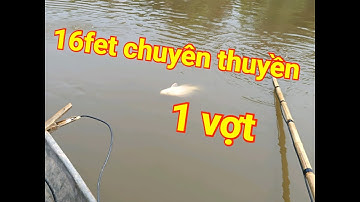 Thực tế kích cá 16fet chuyên thuyền 1 vợt bắt rô phi tổng hợp trên sông- HOTLINE: 0985270335
