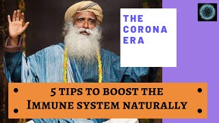 simple immunity boosting tips by Sadhguru, Isha yoga Simple Immunity Boosting Tips Sadhguru Inner Engineering