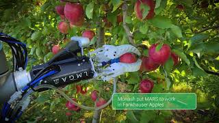 Life in MARS? Meet the Monash Apple Retrieving System screenshot 4